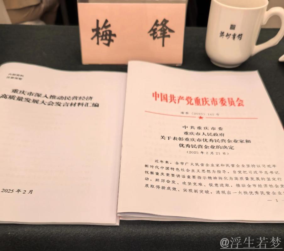 在广阔舞台上大显身手（评论员观察）——促进民营经济高质量发展②